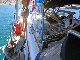 IMG_3076_edited-1